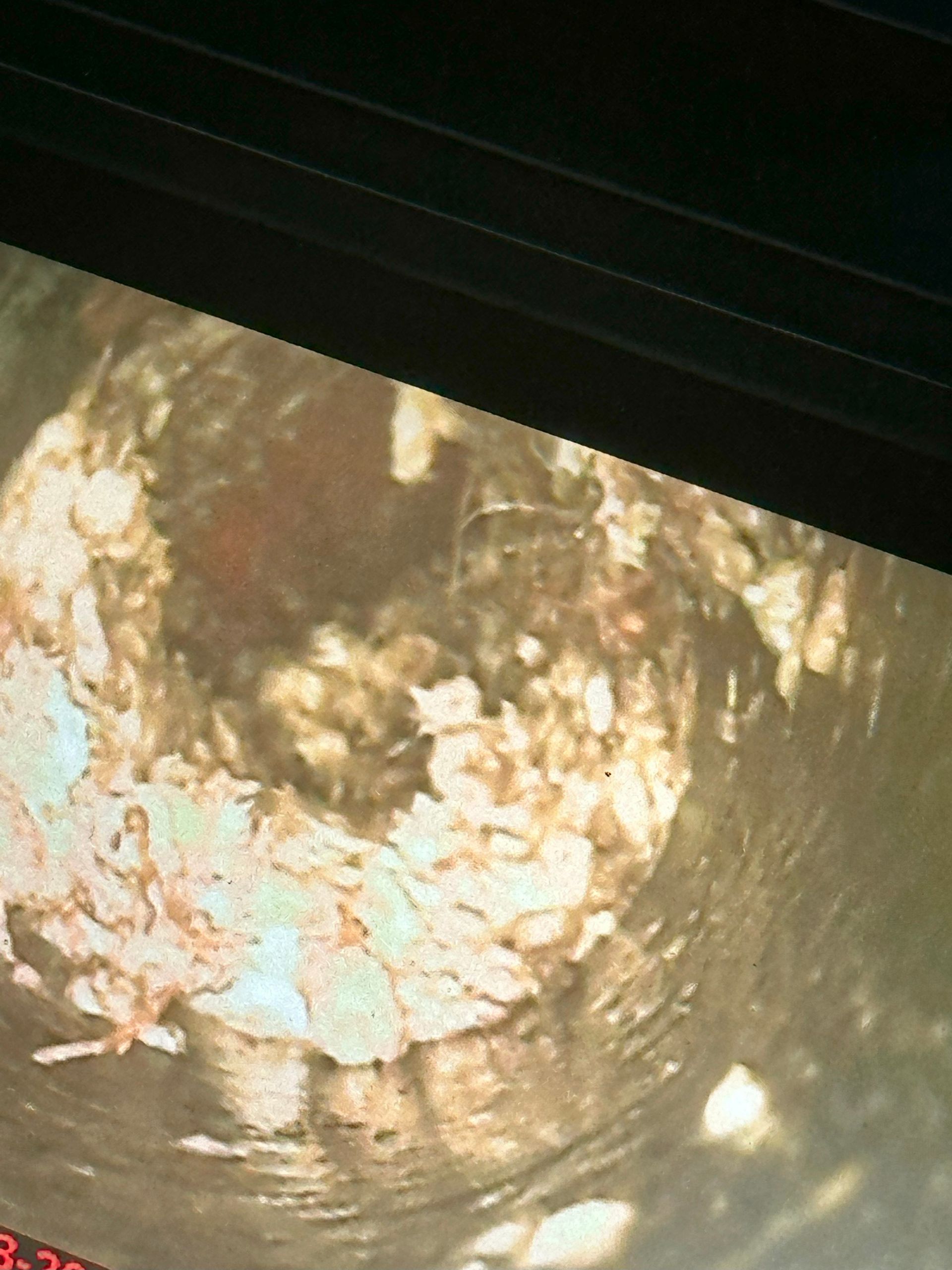 Simi Valley Emergency Plumbing - Project