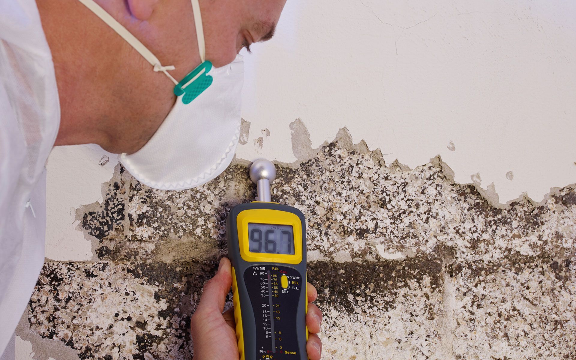 Person in a mask inspecting mold on a wall with a moisture meter reading 96.