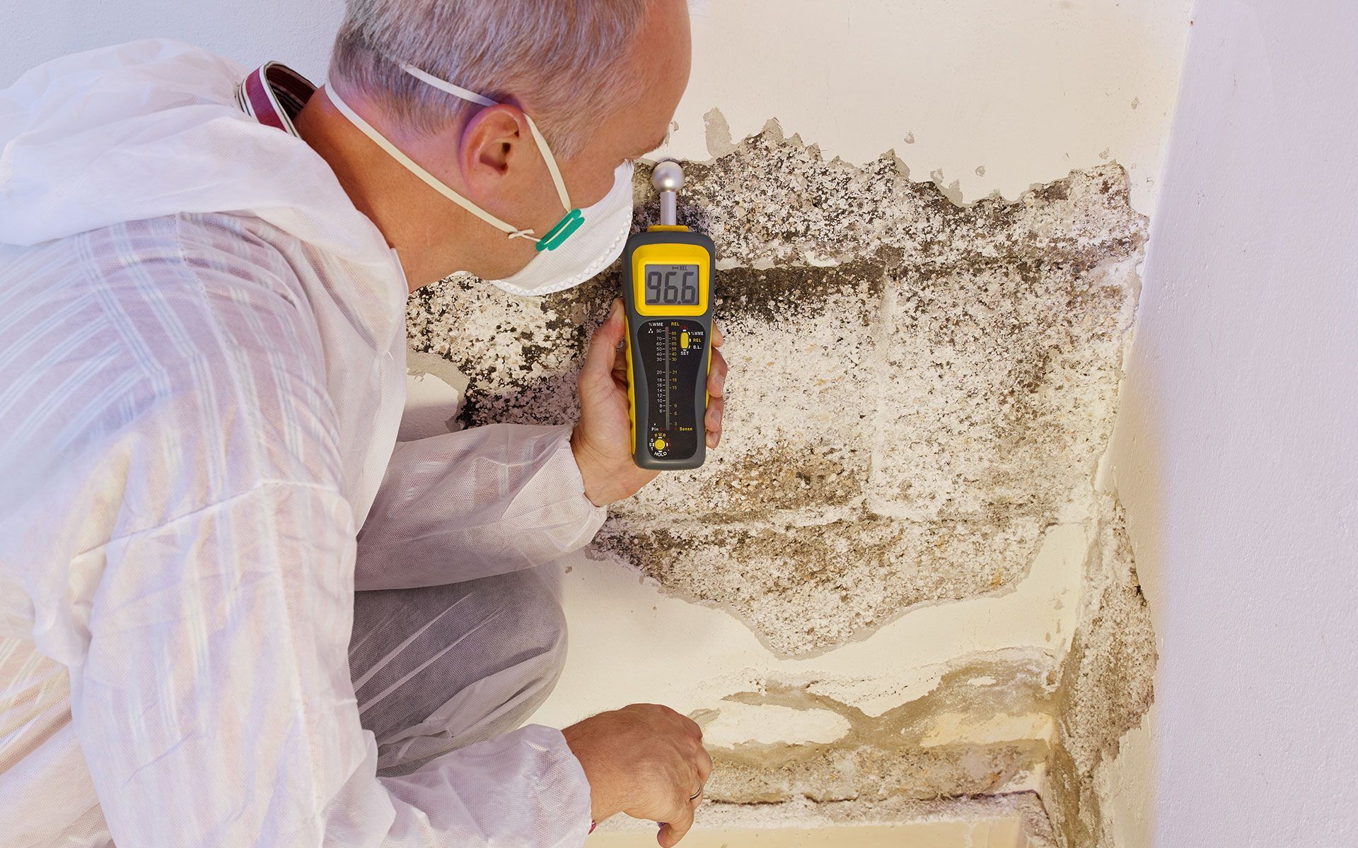 Person in protective suit using a moisture meter on moldy wall.
