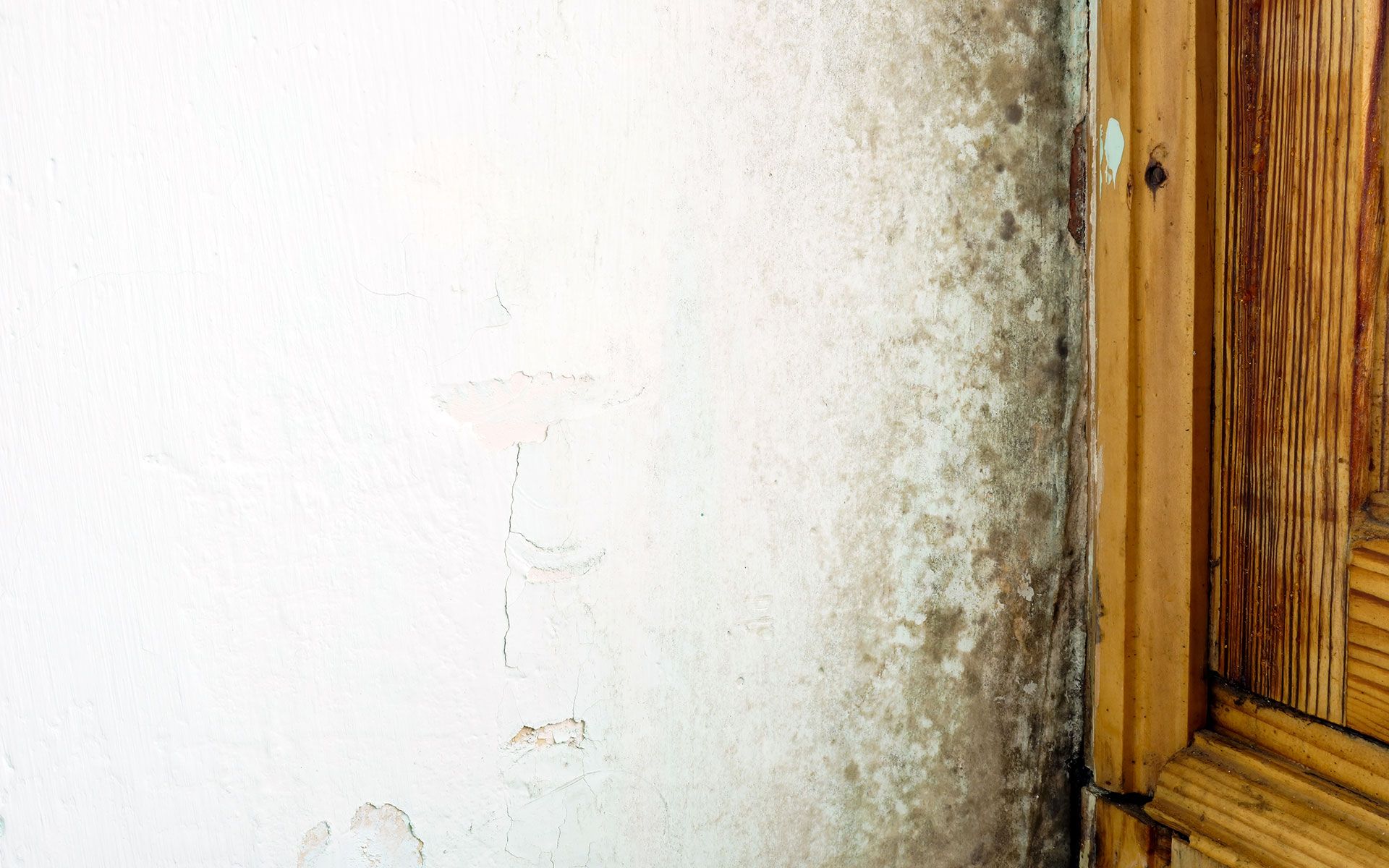 White wall with dark mold and adjacent wooden door frame.