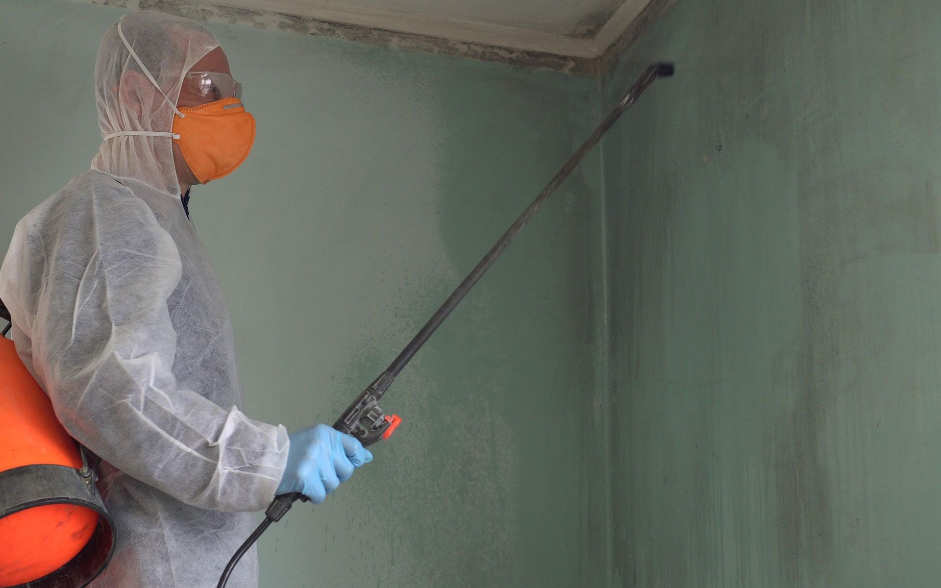 Person in protective gear sprays a wall, likely for mold removal.