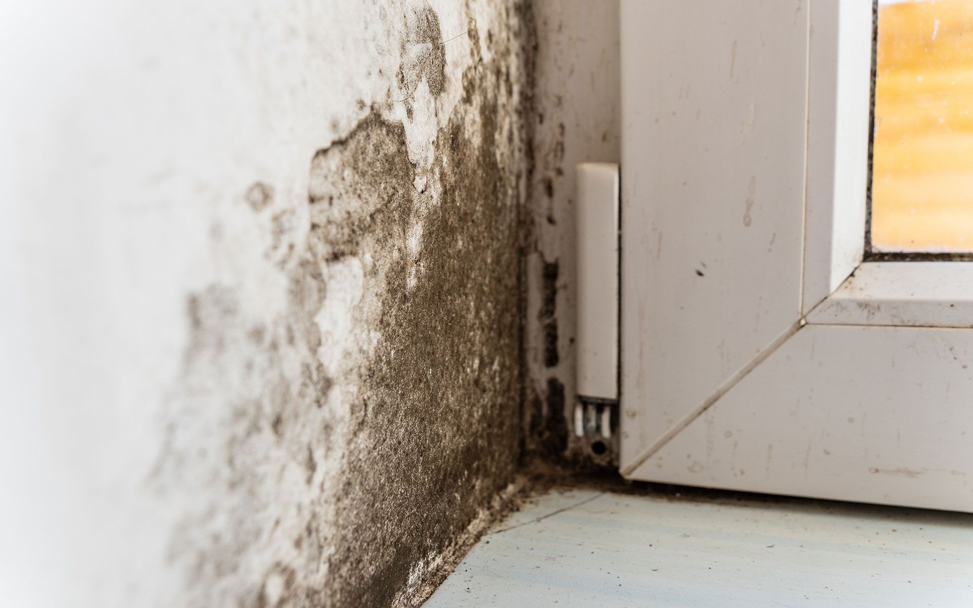 Mold growth on a wall next to a white window frame, indicating moisture damage.