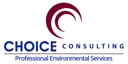 Choice Consulting Choice Consulting