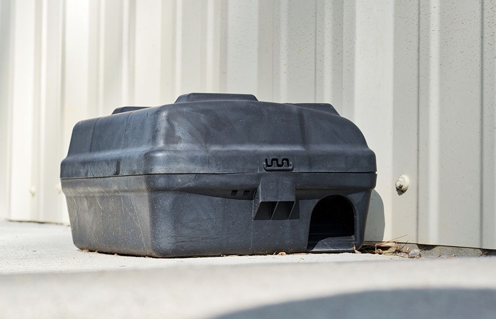 Commercial Pest Control