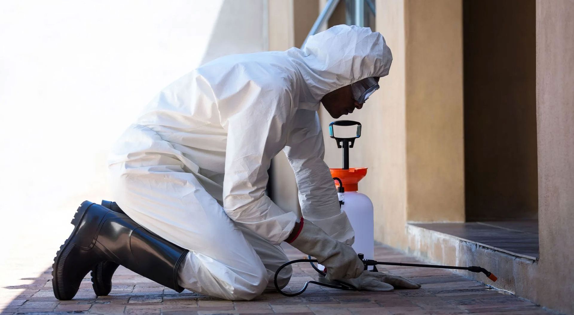 Protect Your Home in Spring: Effective Termite Control Tips