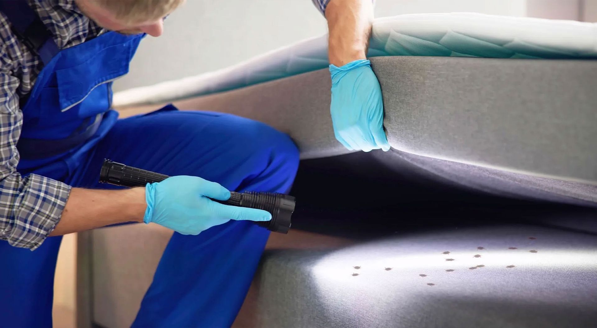 Mastering Bed Bug Control: Spring Cleaning for a Pest-Free Home