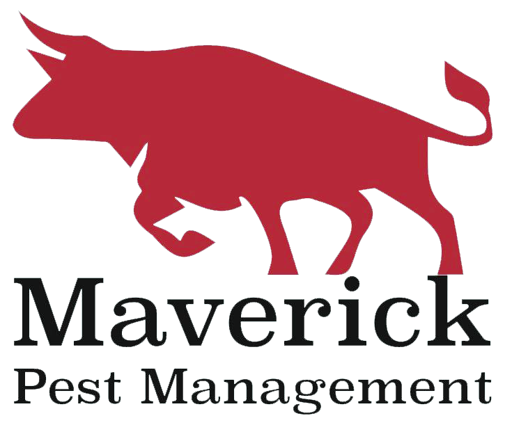 Maverick Pest Management Logo