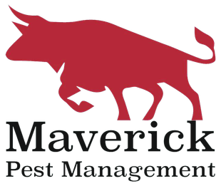 Maverick Pest Management Logo