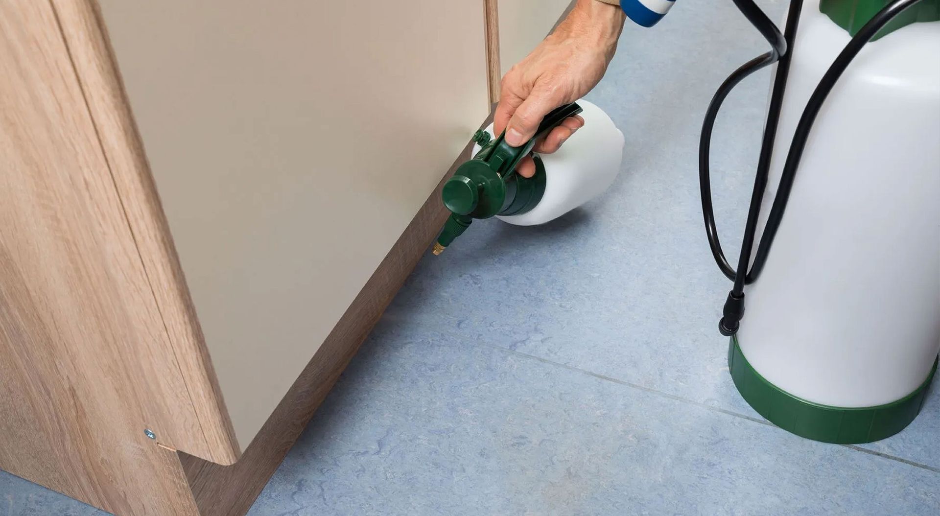 New Year, Pest-Free Home: Resolutions for a Clean Start