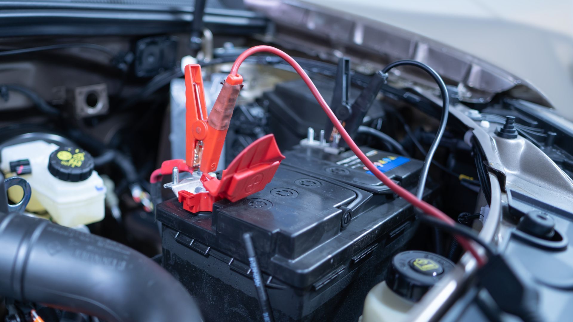 Red and black jumper cables connected to a car battery under the hood of a vehicle.