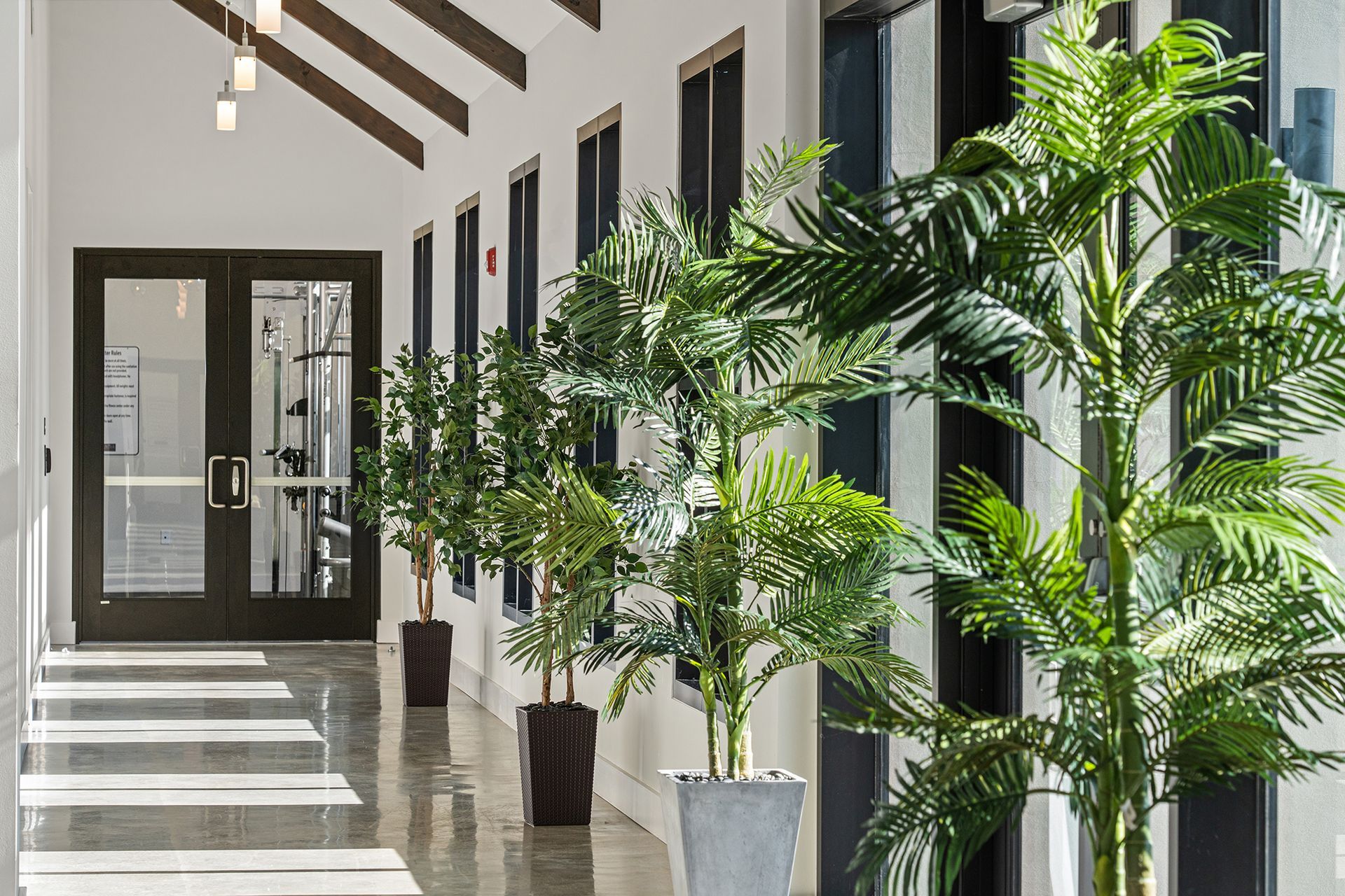 Bright hallway with tall potted plants, leading to double doors and windows.