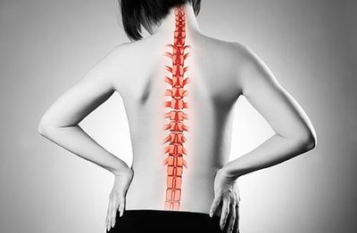 Physical Therapist Showing Anatomical Spine — Chiropractic Clinics in Madisonville, TN