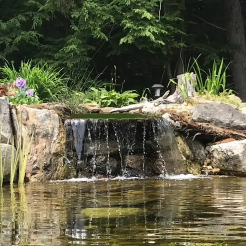 pond design and build hampshire