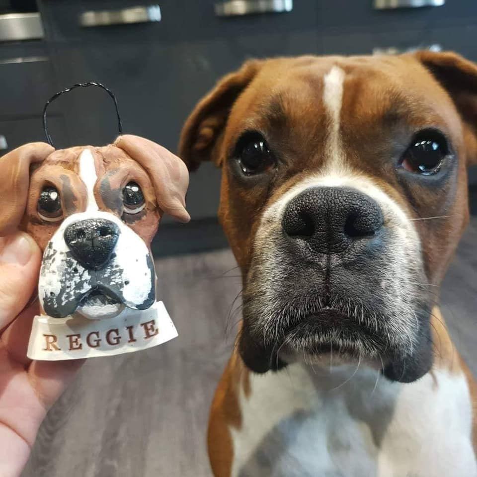 Dog Head Wall Hanger 