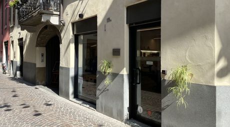 Una vetrina con una pianta davanti su una strada acciottolata.