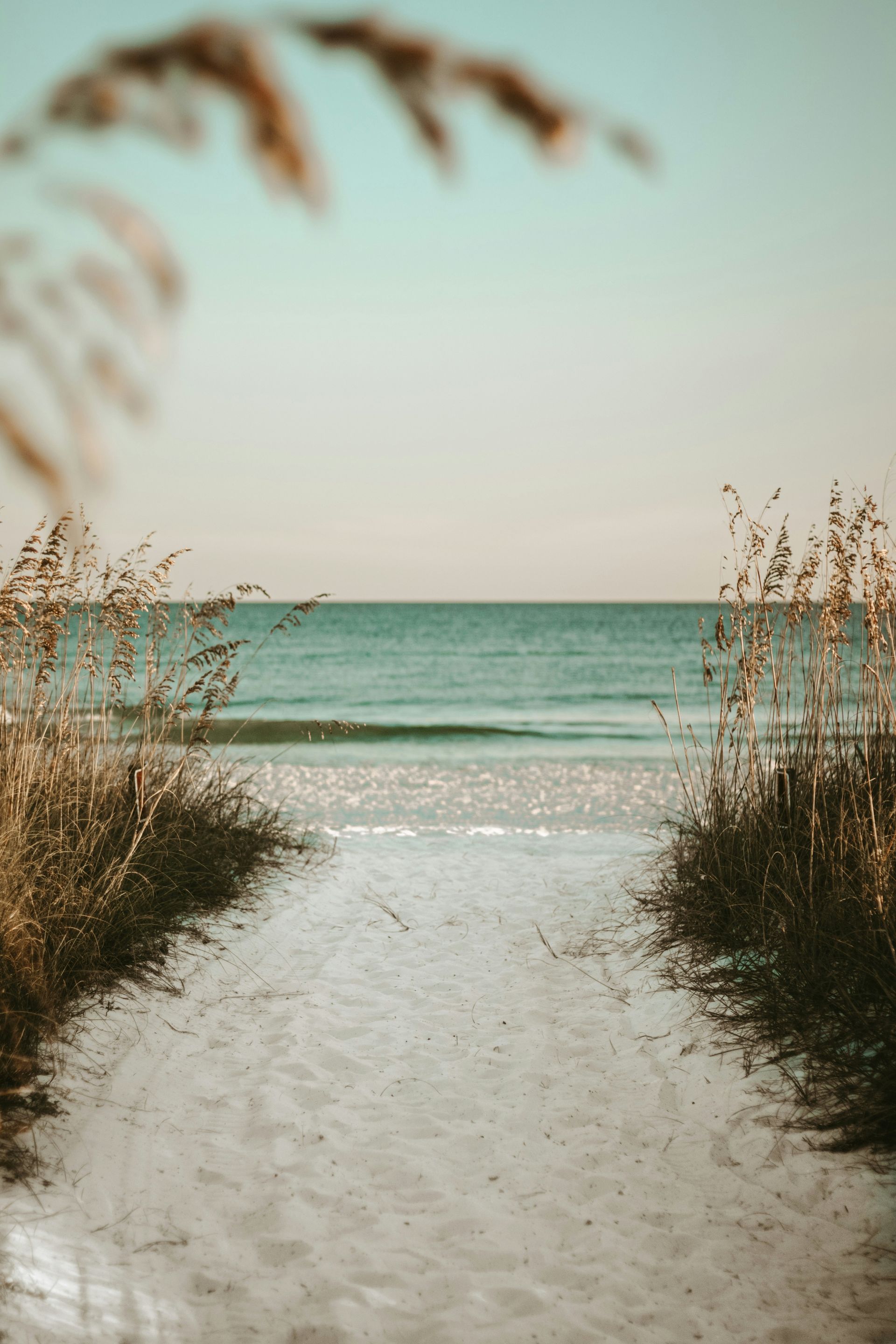 Sandy path through beach grass leads to the ocean under a pale blue sky.