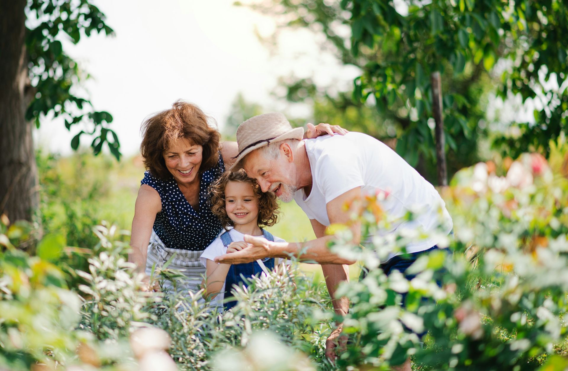 Grandparents and grandchild in a garden, examining plants.