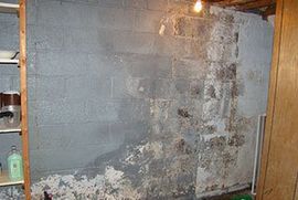 Basement Waterproofing East Amherst, NY