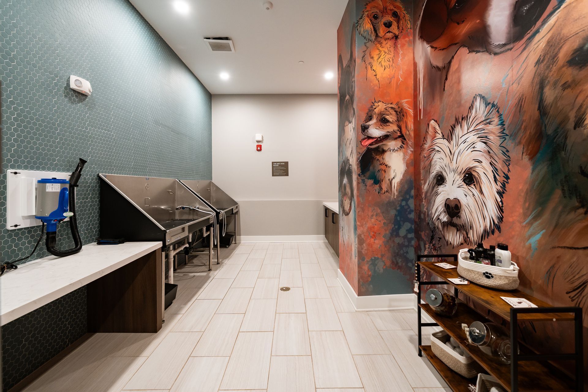 A pet wash station with dog grooming tubs, a dryer, and a colorful mural of dog portraits on the wall.