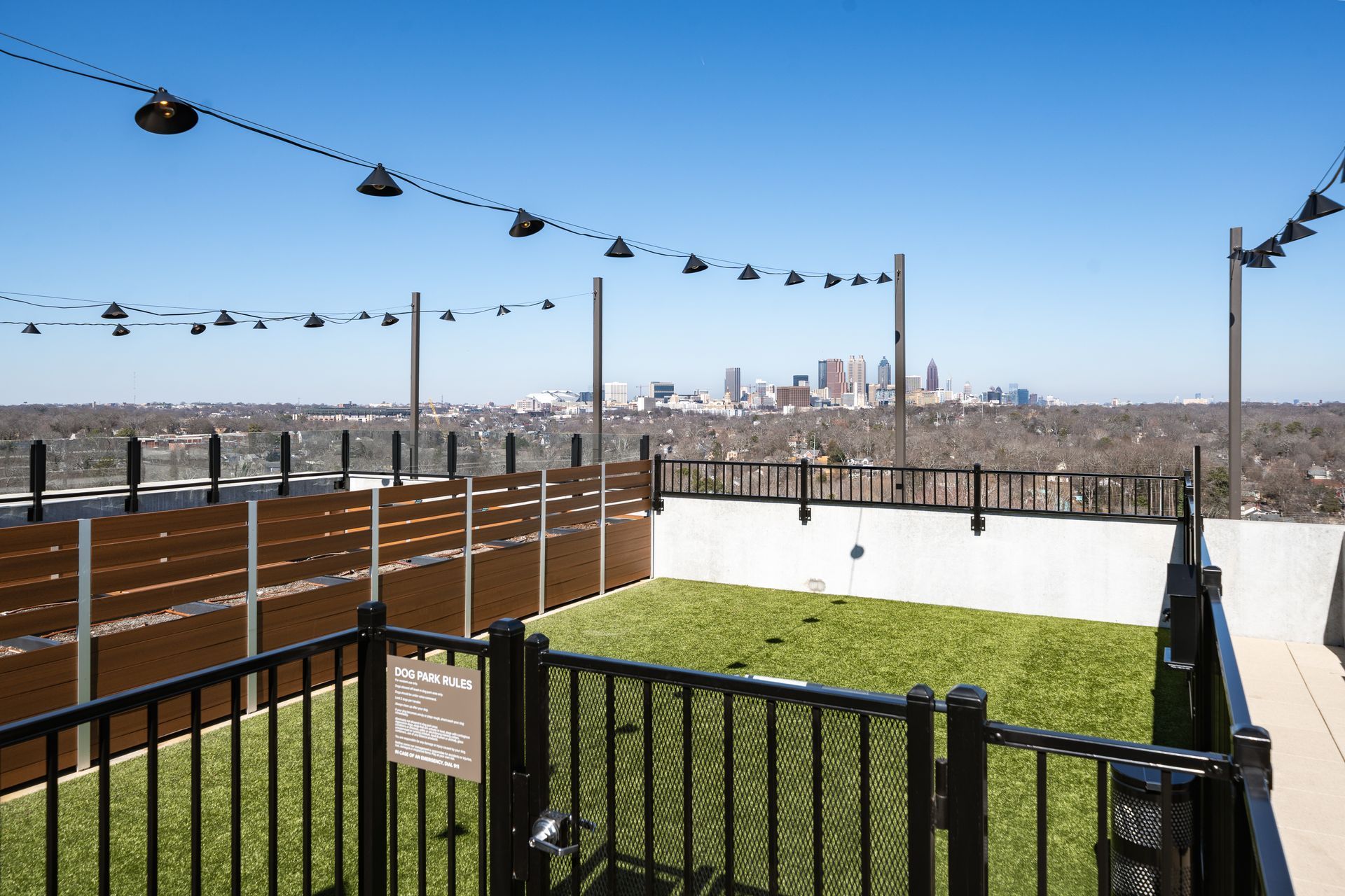 Rooftop dog park with artificial turf, a black metal fence, and string lights, overlooking a city skyline.