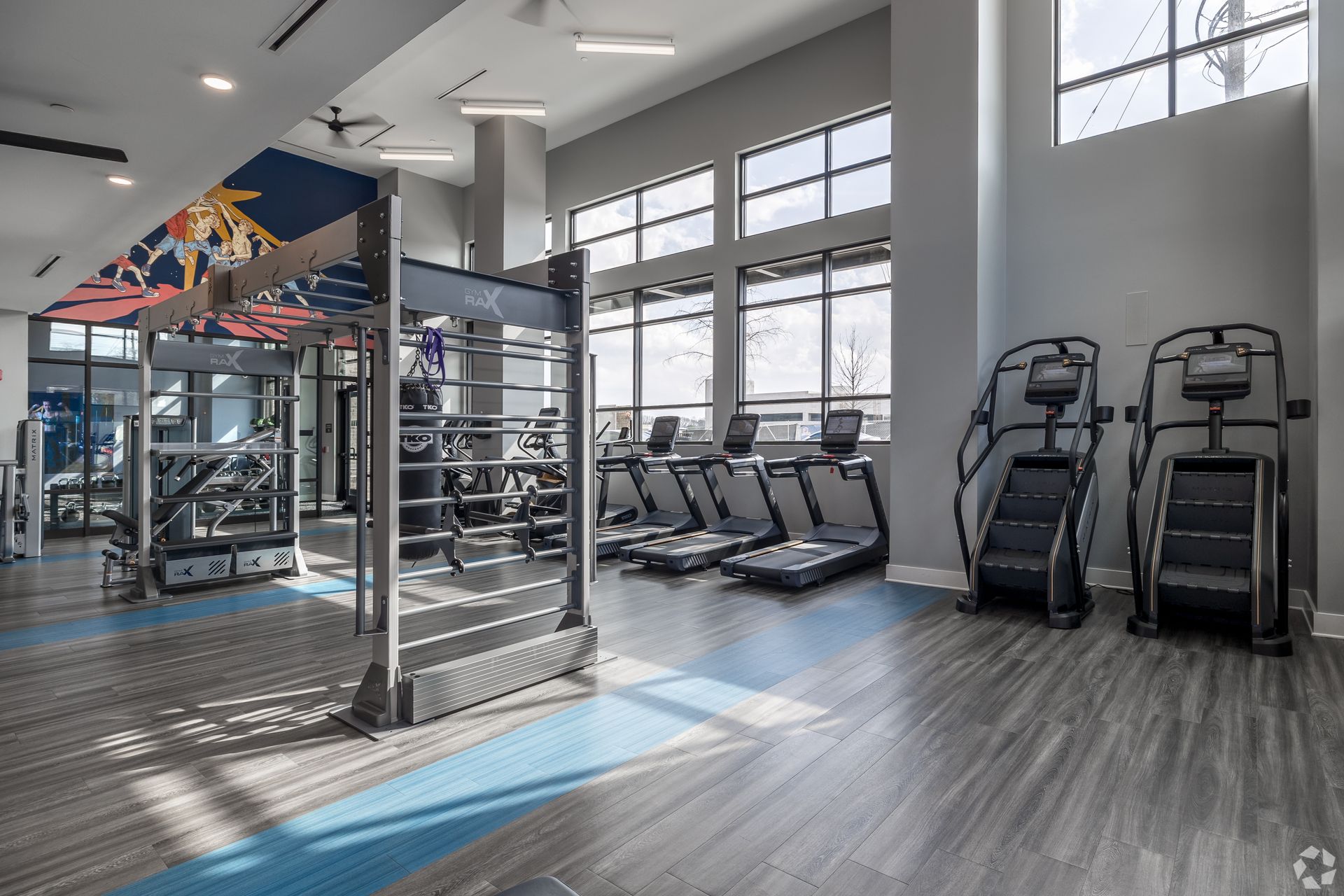 Modern gym interior with exercise machines, treadmills, and a functional training rig on grey wood floors.