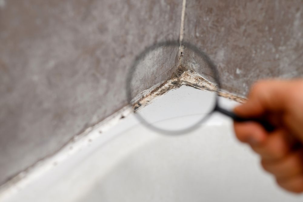 A hand uses a magnifying glass to inspect dark mold growth along the caulk line of a bathroom shower or bathtub corner.
