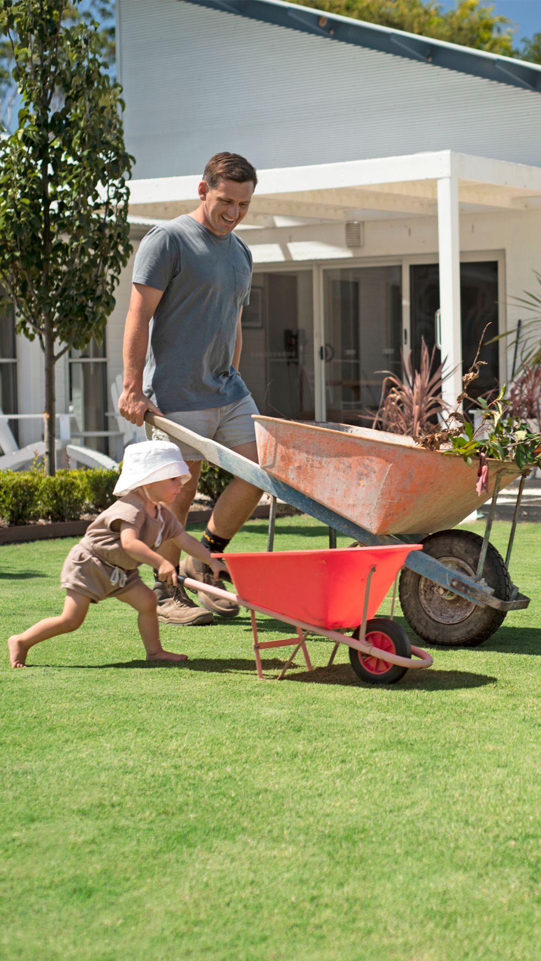 TifTuf Hybrid Burmuda