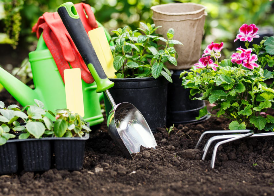 Premium Organic Garden Soil