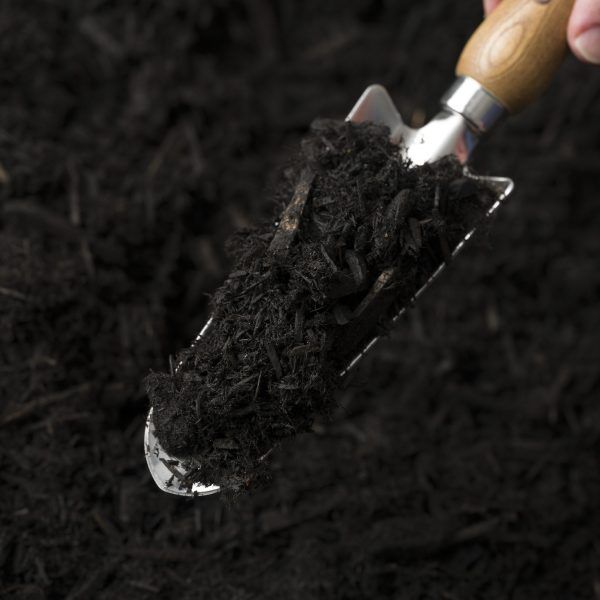 Shovel in Cypress Mulch