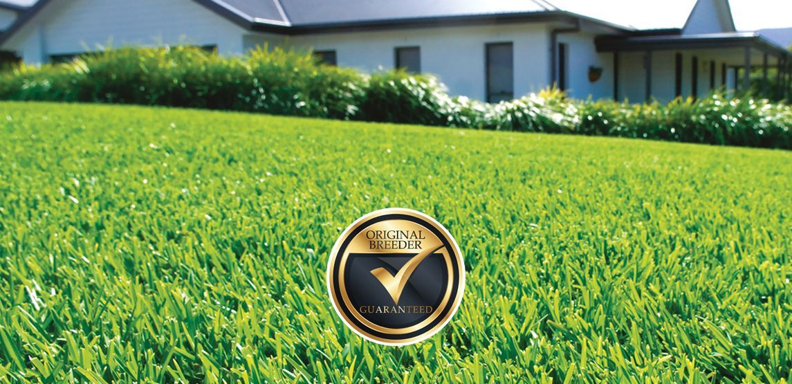 Sir Walter DNA Certified