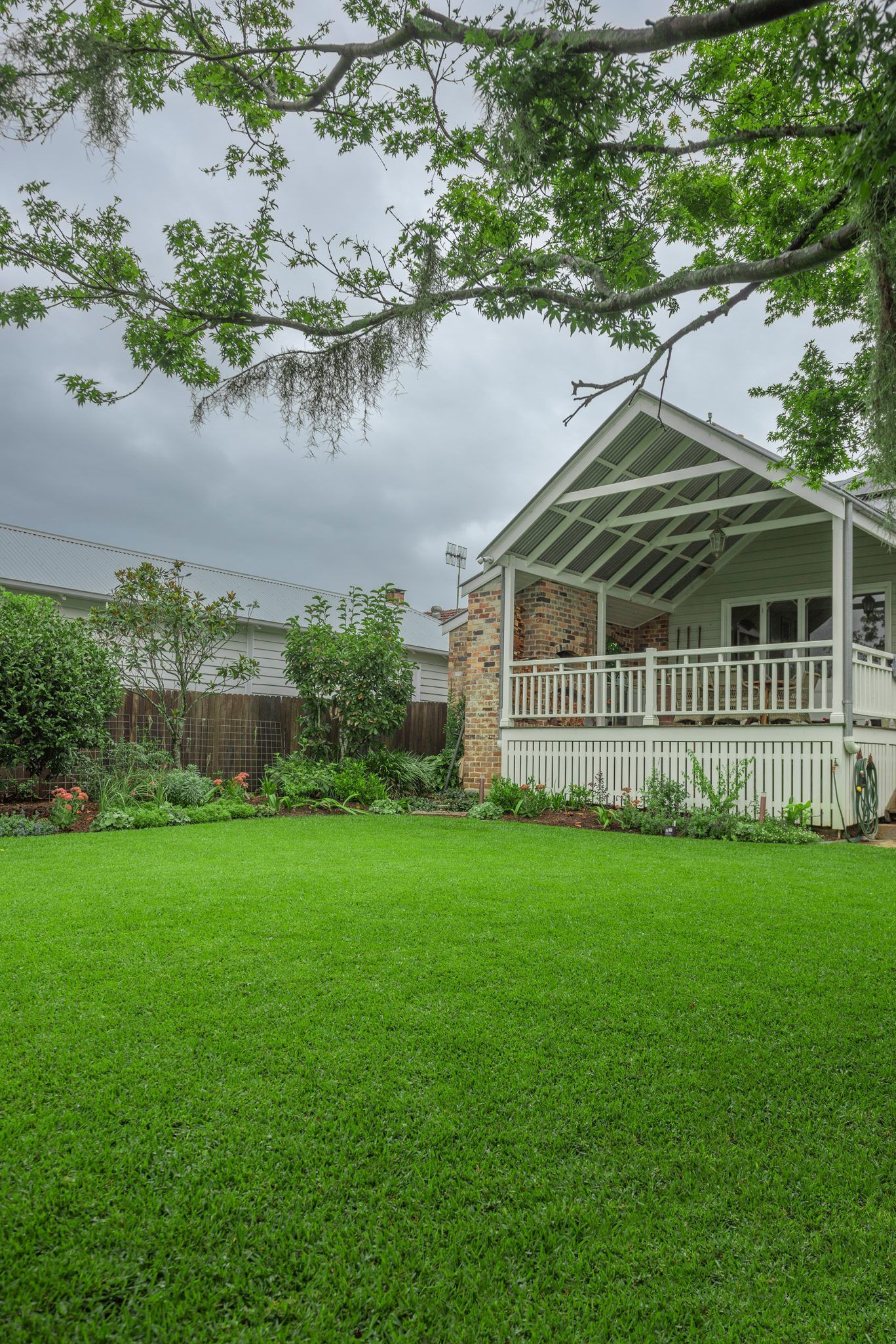 Sir Walter DNA Certified