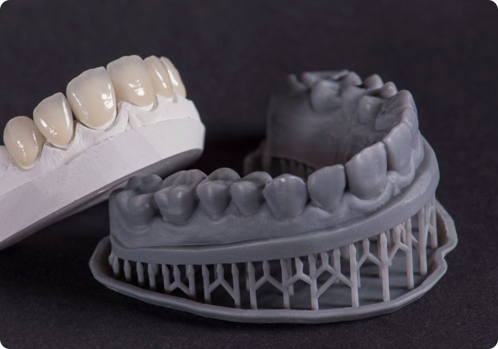 A model of a person 's teeth is sitting next to a model of a person 's teeth.