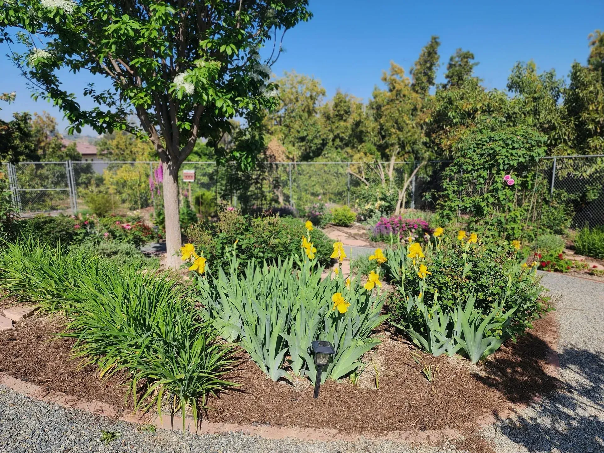 A garden filled with lots of flowers and trees