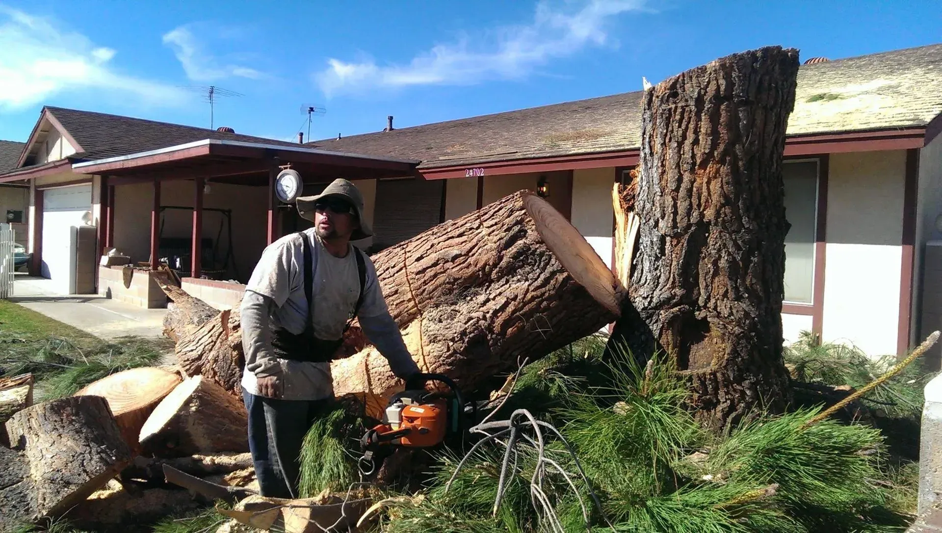 A man is cutting a tree with a chainsaw in front of a house