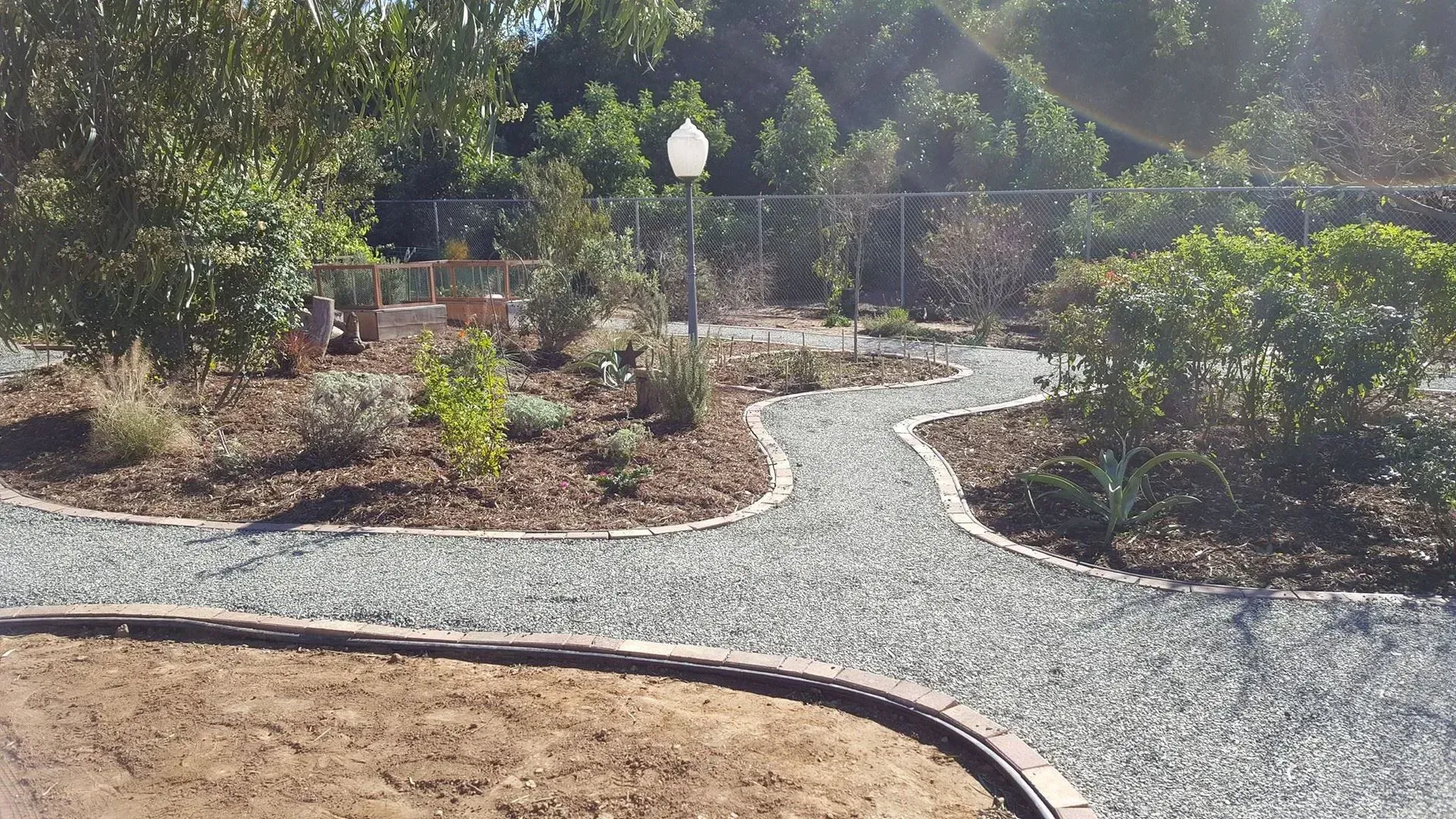 A gravel path is surrounded by trees and bushes