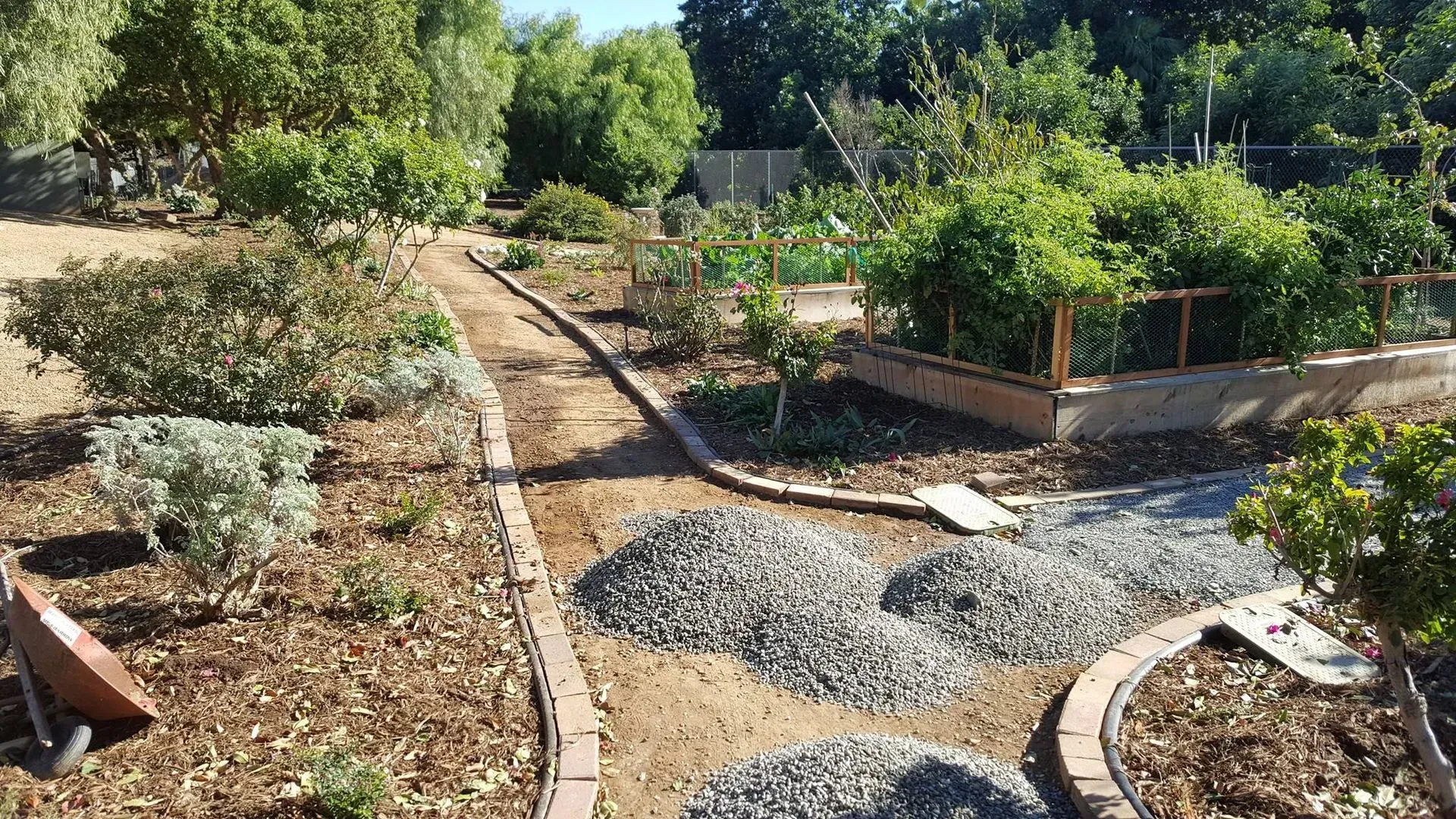 A garden filled with lots of plants and rocks and trees.