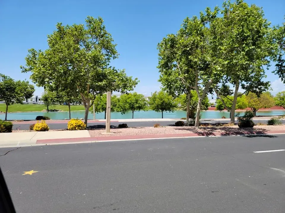 A street with trees and a lake in the background