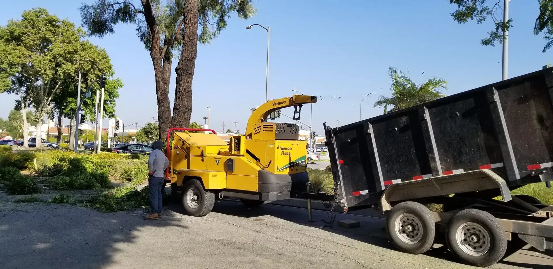 A man is standing next to a tree chipper and a dump truck.