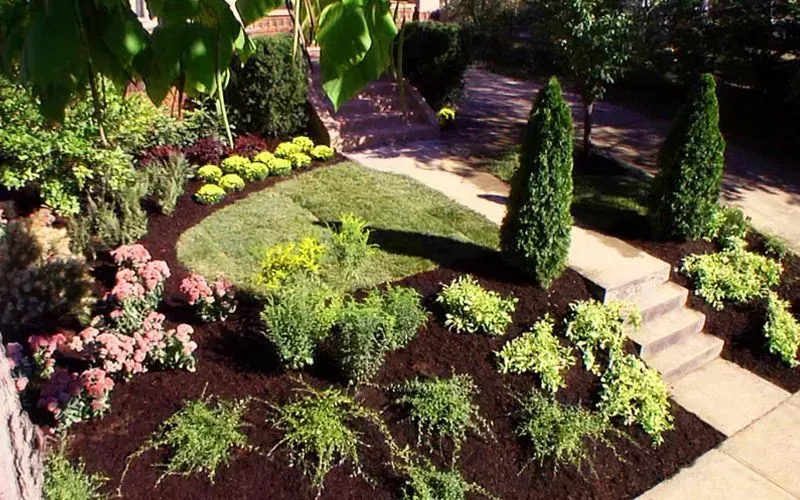 A lush green garden with lots of plants and flowers