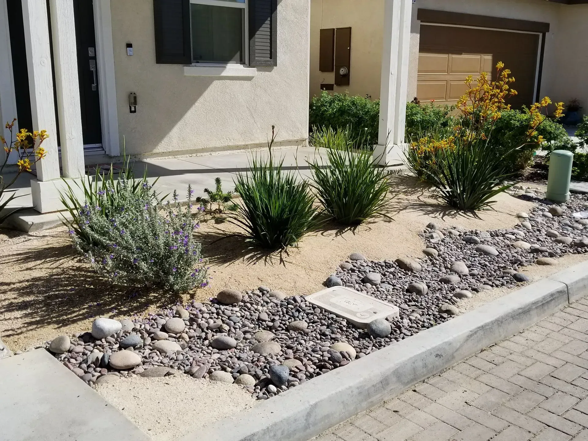 A garden with rocks and plants in front of a house