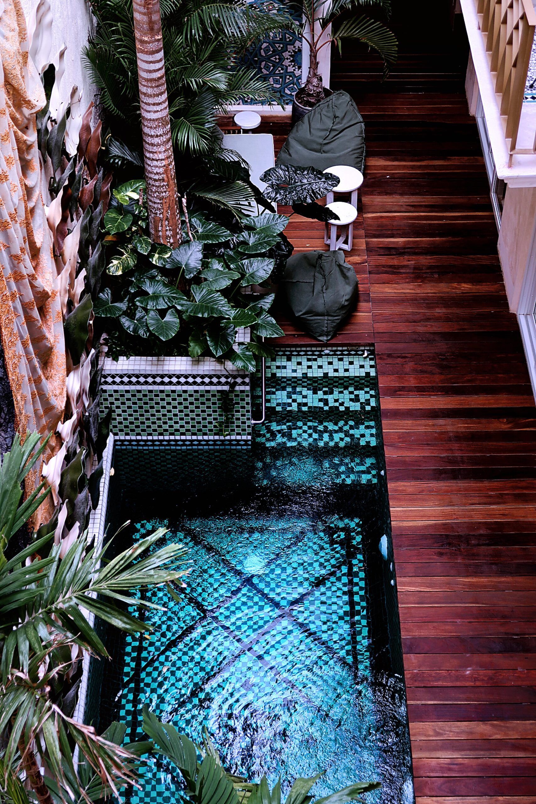 Una pequeña piscina está rodeada de plantas y una terraza de madera.