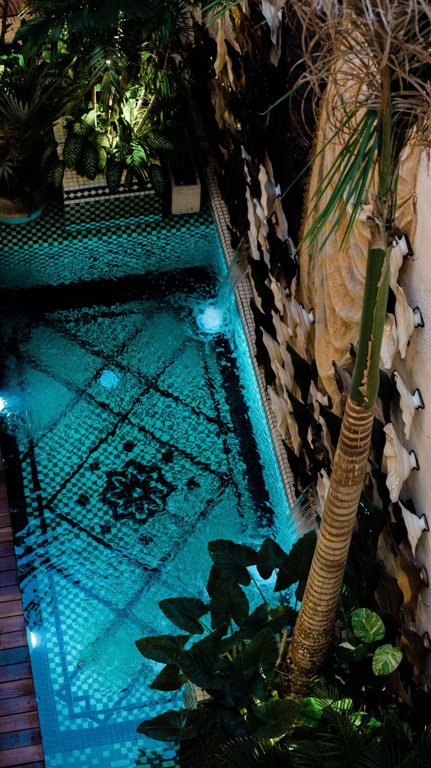 Una piscina está iluminada por la noche con una palmera en primer plano.