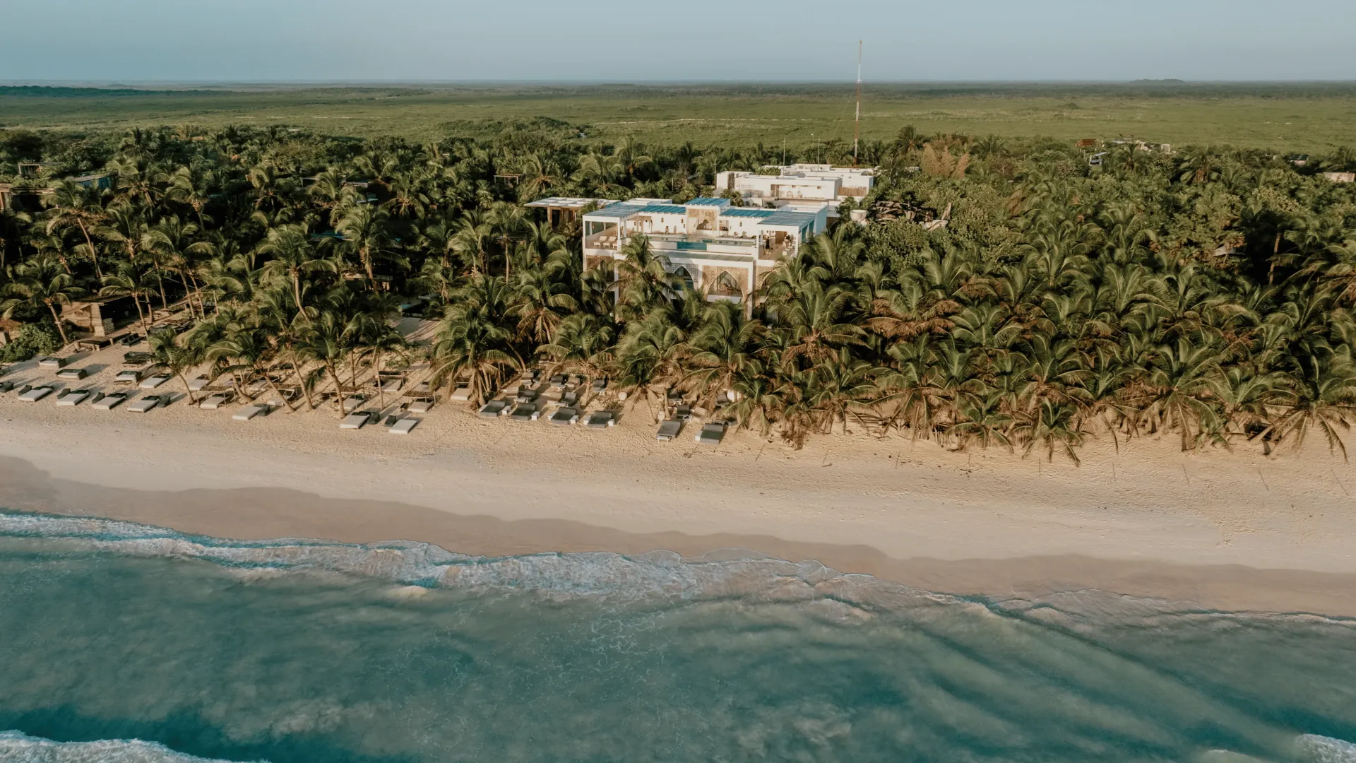 Beachfront resort nestled among palm trees, overlooking turquoise ocean waves.