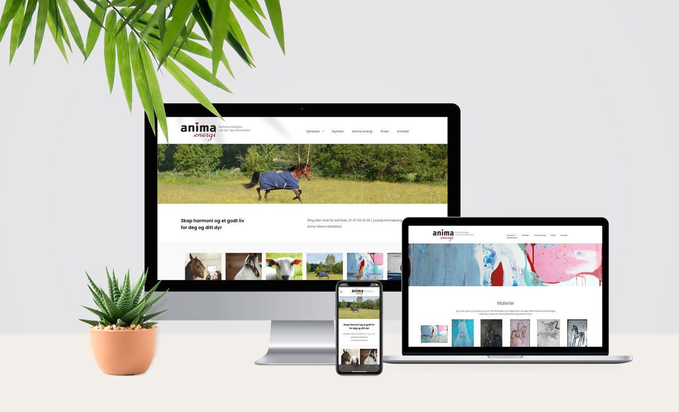 Anima Energi nettside og logo/profil