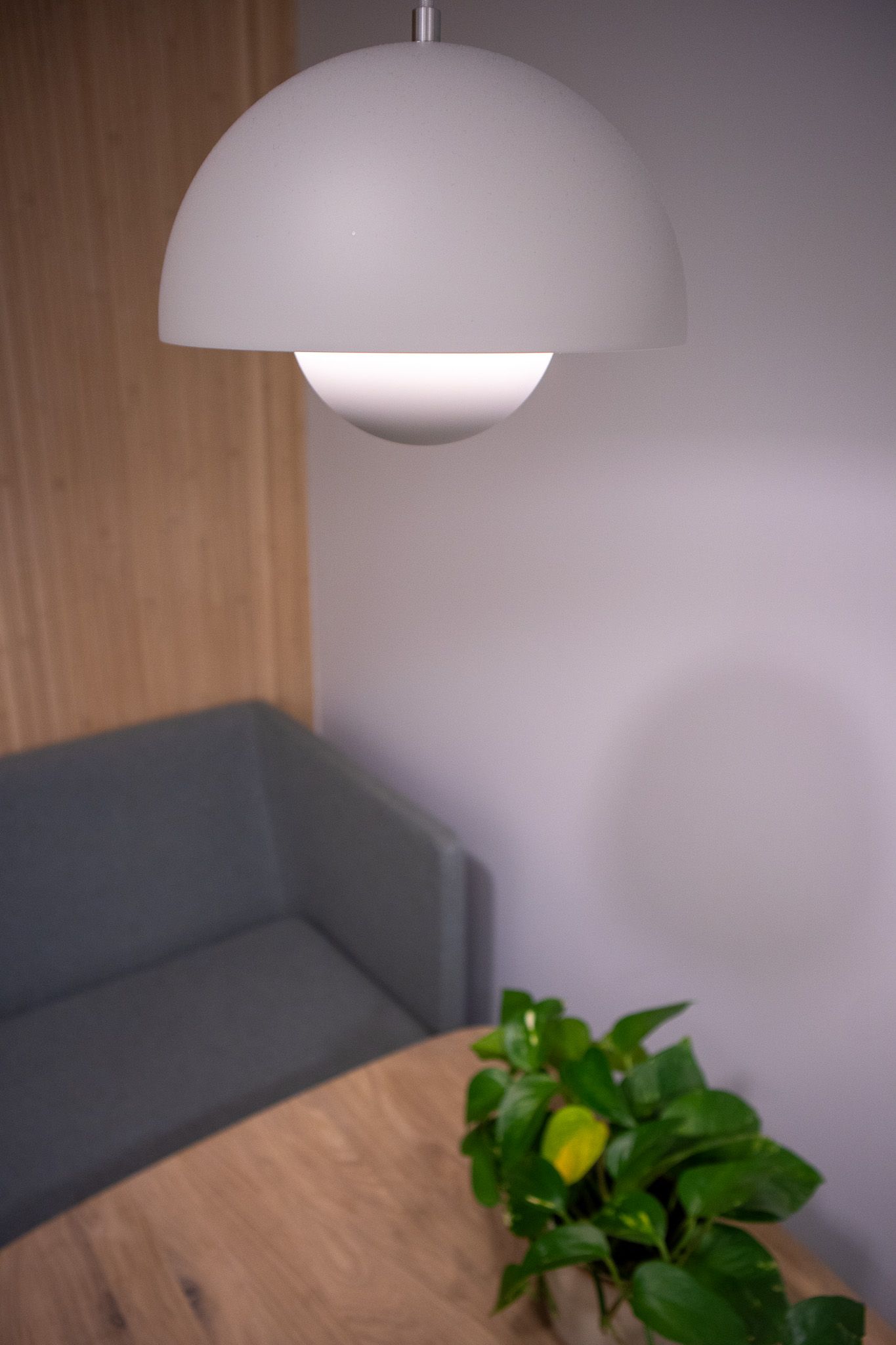 Det er en plante på bordet og en sofa i bakgrunnen.