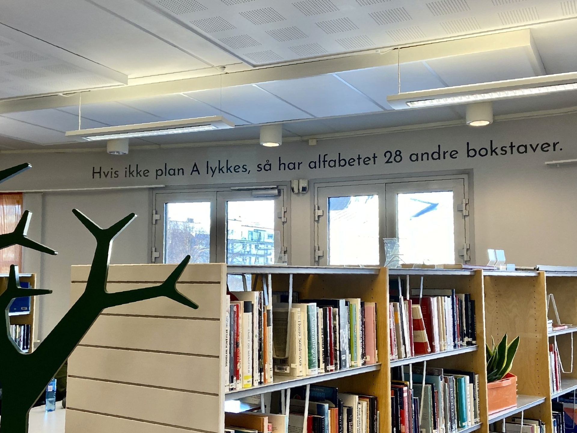 Et bibliotek med et tre i midten og et sitat på veggen