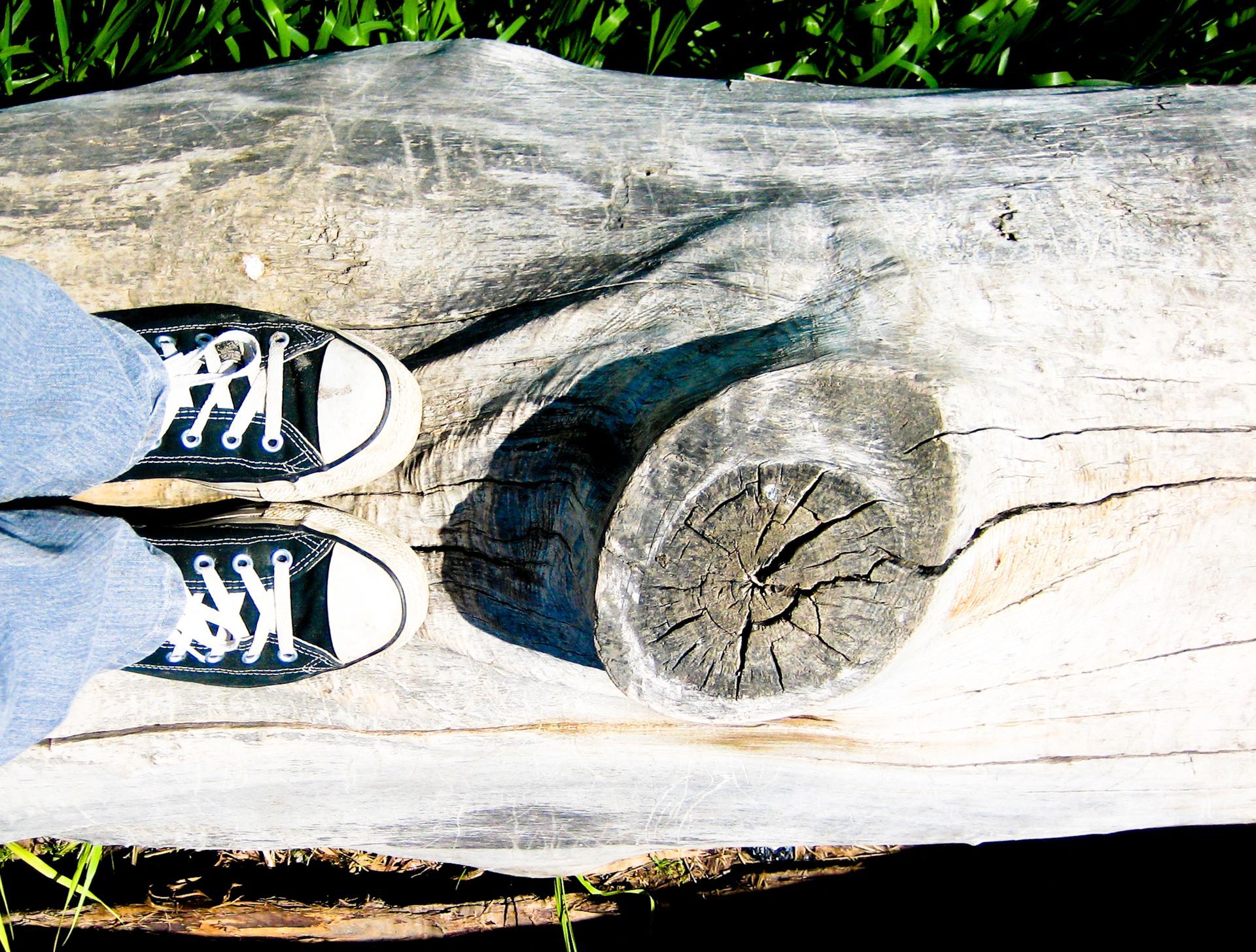 A person wearing converse shoes is standing on a log