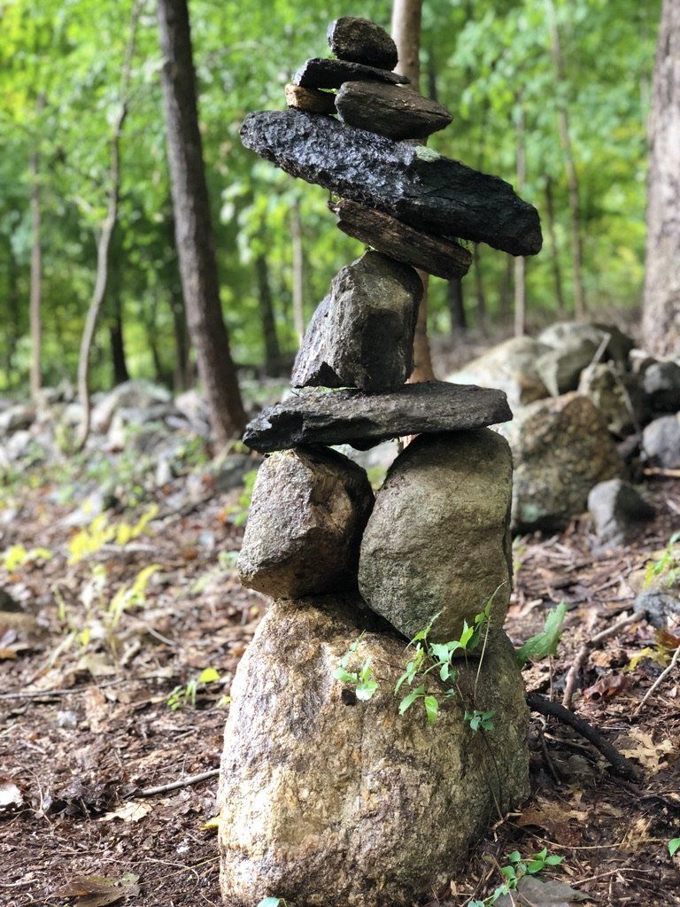A pile of rocks stacked on top of each other in the woods.