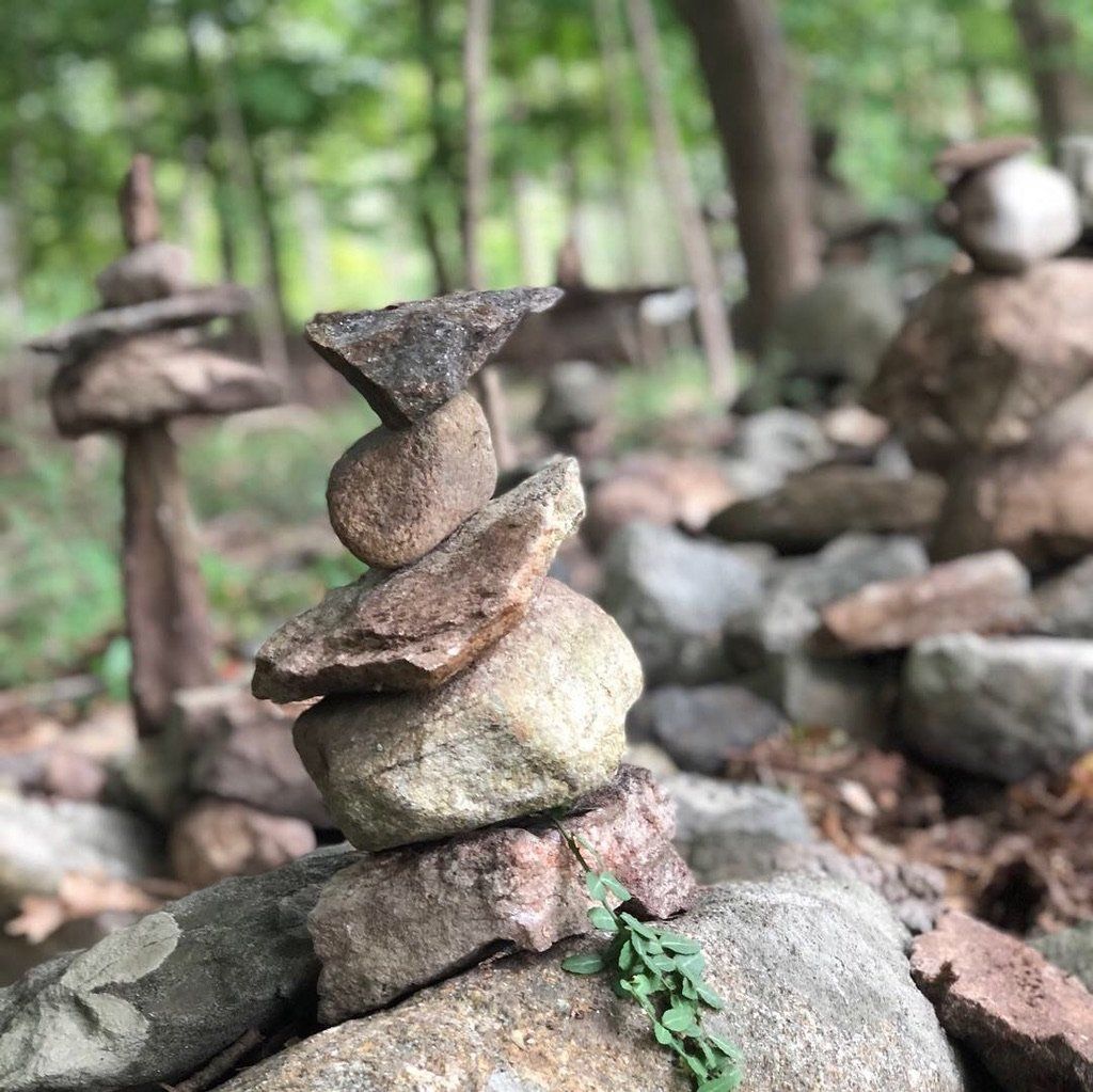 A pile of rocks stacked on top of each other in the woods