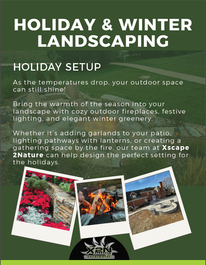 Holiday & Winter Landscaping Holiday by Xscapes 2 nature experts